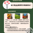 哥倫比亞 203 天堂莊園